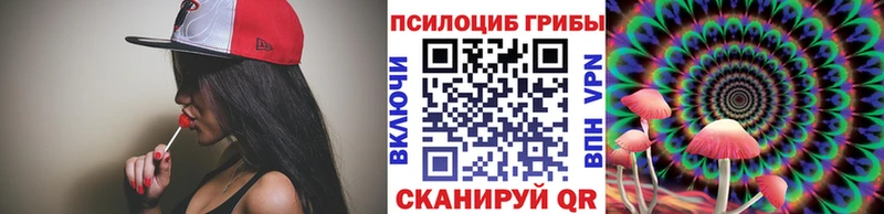 закладки Рудня Псилоцибиновые грибы Cubensis